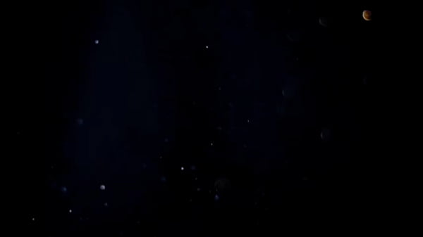 MILF casada numa orgia com amigos do marido corno